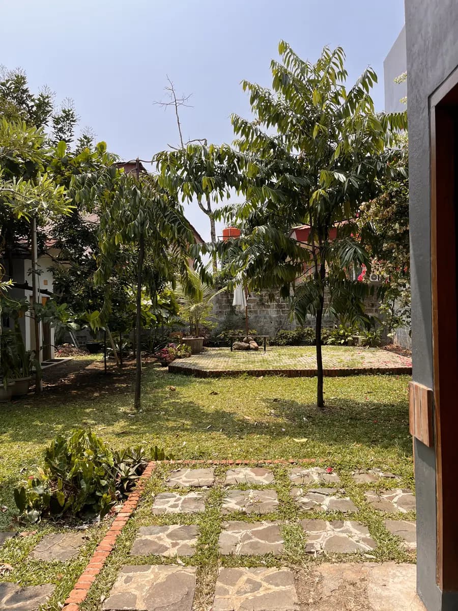 Taman belakang